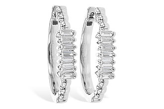 E327-86981: EARR .20 TW BAGUETTES